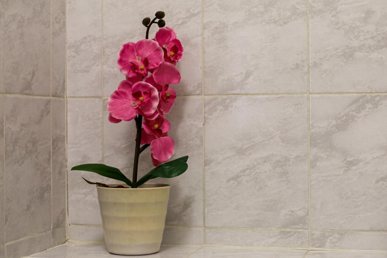 Garden-Eden Apartment Wien Eksteriør billede
